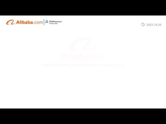 Company Introduction