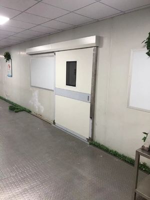 Industriële automatische schuifdeur van staal. 1500 kg laadvermogen en IP65 weerbestendige voor magazijn/dock.